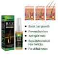 Hair Growth Products Ginger Fast Regrowth Serum Beard Growth Oil Hair Loss Care Beauty Scalp For Men Women. 