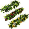 Luau Leis 3 Pcs  Flowers Tropical Hawaiian Lei Leaf Necklaces for Hula Costume and Beach Party. 