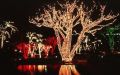 Pack of 2 - LED Fairy Lights  (Wedding Lights for Decoration) Room & House Decoration LED Fairy Light. 