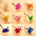 30Pcs Dried Daisy Floral Bouquet Wedding DIY Home Decor Artificial Flower Bouquet Fluffy. 