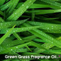 Moonflower's Green Grass Fragrance Oil - Scented Oil for Candles, Aromatherapy, Perfumes, Crafting, Cosmetics & DIY. 