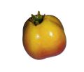 1 Piece - Artificial Pomegranate Fruit - Decorative Pomegranate - Styrofoam Pomegranate - Crafted Thermacol Pomegranates (Artificial Fruits). 