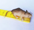 Soft Rubber Rat Toy - Realistic Wild Animal Figure for Kids' Learning & Fun. 