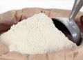 BARLEY FLOUR JAU KA ATTA 500G. 