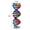 DNA Models Double Helix Structure Teaching Toy ABS Double Helix DIY Human Genes for Biological Science. 