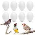 Dummy Eggs For Finch/Java Pack Of 2 By KS Pets Care. 
