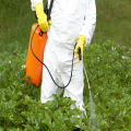 Lawn Care Protect your Lawn Best for Plants Pesticides. 