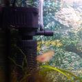 3 in 1 Filter for Aquarium Fish Tank. 