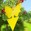 20Pcs Sticky Trap,Fruit Fly and Gnat Trap Yellow Sticky Bug Traps for Indoor/Outdoor Use Insect Catcher for White Flies. 