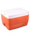 Cool Ice Box Small Cooler Portable ideal for Camping & Hiking Storing bottles, can. 