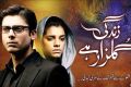 Zindagi Gulzar Hai urdu Novel By Umera Ahmed. 
