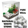 Pure White Stone Natural Stones Best For Planted And Fresh Water Fish Tank 1 KG Bag. 