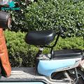 Green Home Bike Rear Seat Handrest Letter Design Tough Bicycle Rear Seat Armrest. 