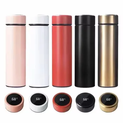 500ml LED Temperature Water Bottle