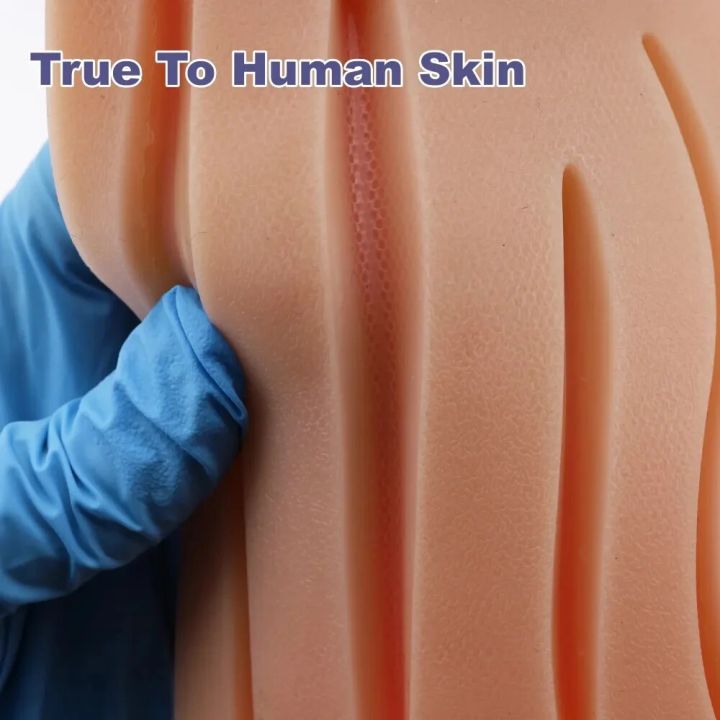 Complete%20Suture%20Practice%20Kit%20for%20Medical%20and%20Vet%20Students%20-%20Reusable%20Skin%20Simulation%20Silicon%20Pad%20with%20Pre-Cut%20Wounds,%20Full%20Set%20of%20Essentials%20Stainless%20Still%20Suturing%20Tools%20-%20Image%204