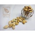 1 KG - Pewand Kaghazi Almond (Kaghazi Badam / Badaam). 