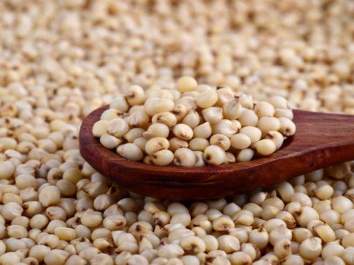 Jowar Seeds - Jawaar Seeds - for all kind of  Birds - 10 KG