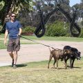 Double Leash Coupler for Large Dogs Adjustable Heavy Duty Nylon Splitter for Two Big Dogs. 