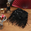 Ostrich Feather Decoration, Feather Decoration for Sewing Costumes, Latin Dresses, Halloween Home Parties. 
