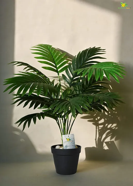 Evergreen%20Oasis%20Artificial%20Areca%20Palm%20Plant%203%20Feet,%20Realistic%20Design,%20Maintenance-Free,%20Indoor/Outdoor%20Decor,%20Eco-Friendly,%20Allergy-Free%20-%20Image%203