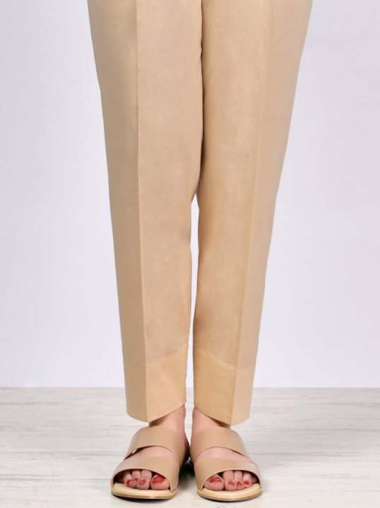 Skin%20Beige%20Straight%20Trouser/Pant/Capri%20For%20Girls/Ladies-Non%20See%20Through%20Fabric%20-%20Image%203