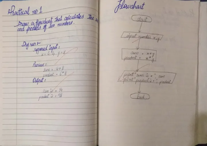 Practical%20Notebooks%20Hand%20Written%20Checked%20Punjab%20Boards%20Star%20-%209th%20&%2010th%20-%20Biology%20-%20Computer%20-%20Chemistry%20-%20Physics%20-%20Image%207