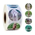 【2023】 500Pcs/roll Reward Stickers for Teachers Fun Motivational Incentive Stickers for Kids Trendy Animal Meme Toys Stickers. 