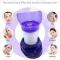 The Steam Facial – Steamer and Inhaler for Block Nose. 