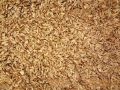 rice husk | rice husk 400 g (Chawal ka Chilka),,, For Lawn And Garden Soil. 