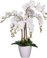 Artificial White Orchid Flower with Black Planter.. 
