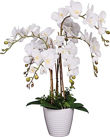 Artificial%20White%20Orchid%20Flower%20with%20Black%20Planter.%20-%20Image%206