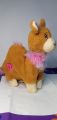 Play tive Junior Interactive CAMEL. 