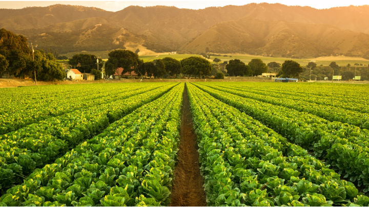 Epsom%20Salt%20-%20400%20grams%20Bulk%20Bottle%20-%20Image%203