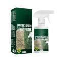 Lawn Spray Paint Eco-Friendly Green Gr Spray Paint Colorant. 