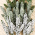 5Pcs/Set 26Cm Festival Pine Needle Branches Artificial Pine Needles Plants Holiday Tree Wreath Decorations For Home New Year Gifts. 
