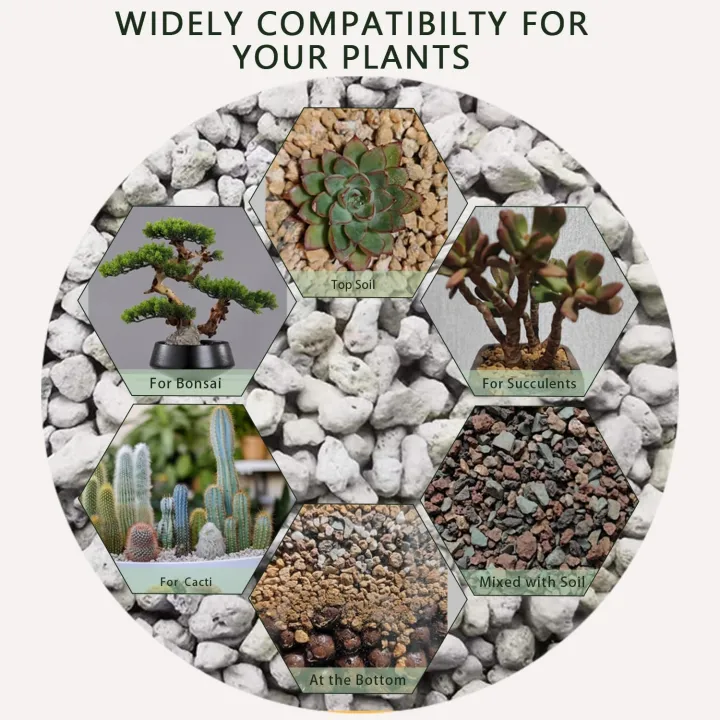 Pumice%20stone%202mm-6mm%20washed%20for%20cactus%20-%20Succulent%20-%20Bonsai%20and%20Plants%20Soil%20Mix%20-%20Image%207