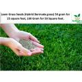 Lawn Grass Seeds (Bermuda Grass) imported seeds from Netherlands 50 gram for 25 square feet , 100 Gram for 50 Square feet.. 