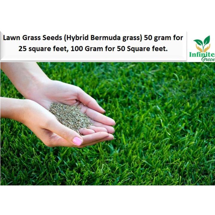 Lawn%20Grass%20Seeds%20(Bermuda%20Grass)%20imported%20seeds%20from%20Netherlands%2050%20gram%20for%2025%20square%20feet%20,%20100%20Gram%20for%2050%20Square%20feet.%20-%20Image%203