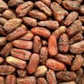 Amber Dates - Khajoor 250 Grams. 