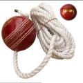 Hanging Ball for Tape tennis and hard ball practice and bat stroke Best Cricket Hanging Hard Ball for Bat Stroke. 