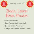 Stevia Powder | Organic Stevia Leaves | Stevia Leaf Powder, Not Sweet Like Sugar | Stevia Dried Leaves Powder 25Grams By The Herbal ( Pure Natural ). 