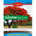 Pack of 10 Gulmohar Tree Seeds (Flame Tree) Bonsai Plant Flower. 