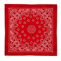 Superman Ruoias Unisex Fashion Scarf Women Men Bohemian Print Bandana Hair Bands Hip Hop Bandana Headwear Neck Wrist Wrap Band Square Scarf. 