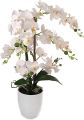 Artificial White Orchid Flower with Black Planter.. 