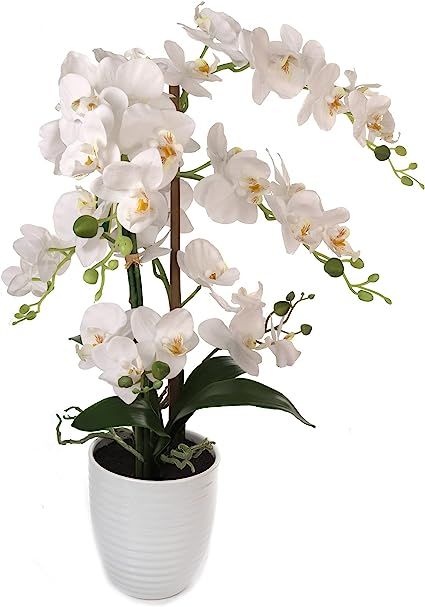 Artificial%20White%20Orchid%20Flower%20with%20Black%20Planter.%20-%20Image%207