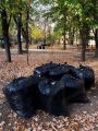 Pack of 30   Dust Bin Bags Trash Bag  ( Bio Degradable )   20 x 30 inch - (L x W). 