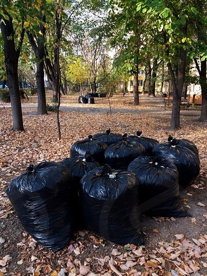 (20%20or%2030%20%20Piece)%20Large%20Size%20Dust%20Bin%20Bags%20-%20Biodegradable%20Trash%20Bag%20-%20Image%206