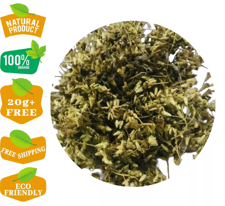 Mexican Dream Herb, Dry Lucid Calea Zacatechichi Organic Natural Leaf Ceylon Tea 150g