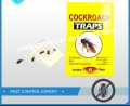 Cockroach Glue Trap - 6 Count, Ready to Use Indoors. Spider Scorpion Insect Bug Trap Sticky Adhesive Long-Lasting Glue Traps,Free NOTE random color will be delivered. 