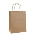 Pack of 10 Paper Bags 8 X 11 X 3 Gift Bags, Party Bags, Shopping Bags, Kraft Bags, Retail Bags, Merchandise Bags, Brown Paper Bags with Handles Bulk 110Grams. 